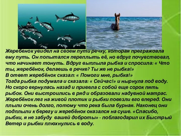 Жеребенок увидел на своем пути речку, которая преграждала ему путь. Он попытался