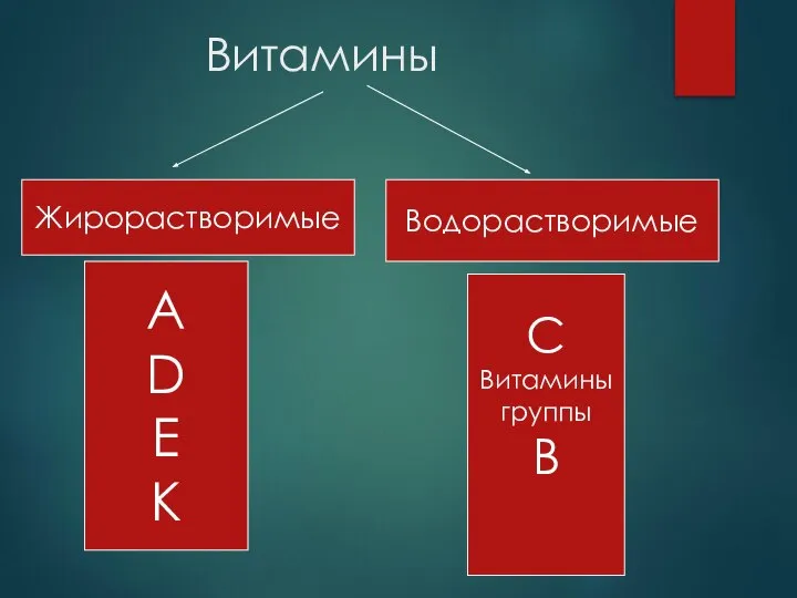 Витамины Жирорастворимые Водорастворимые А D Е К С Витамины группы В