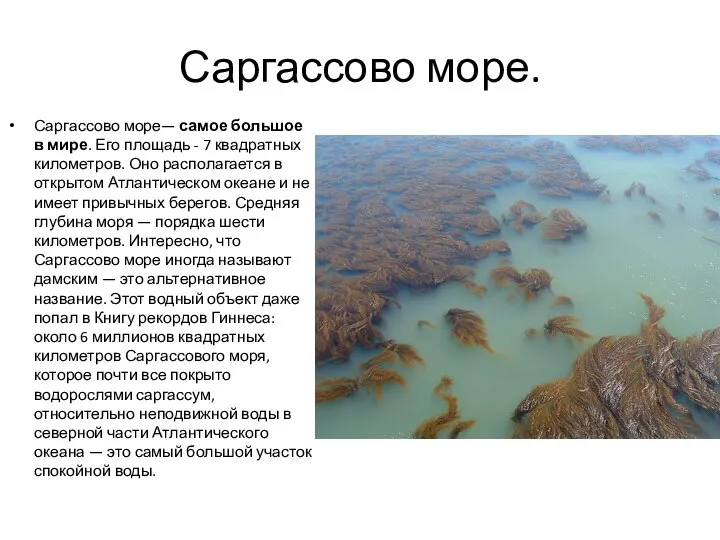 Саргассово море. Саргассово море— самое большое в мире. Его площадь - 7