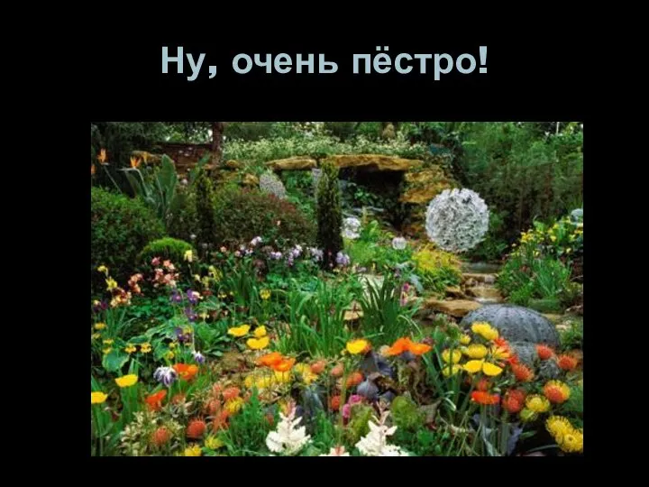 Ну, очень пёстро!