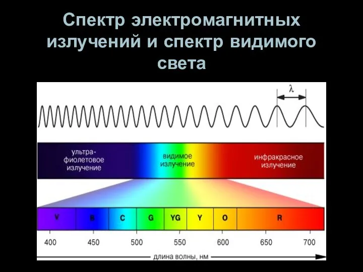 Спектр электромагнитных излучений и спектр видимого света