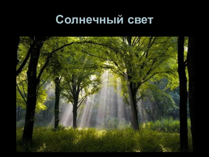 Солнечный свет