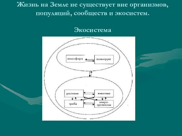 Жизнь на Земле не существует вне организмов, популяций, сообществ и экосистем. Экосистема