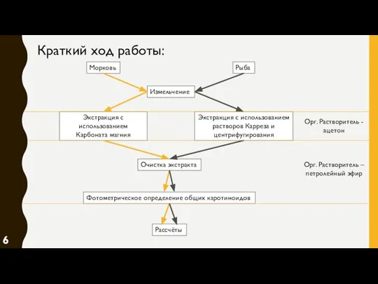 Краткий ход работы: Морковь Рыба Измельчение Экстракция с использованием растворов Карреза и