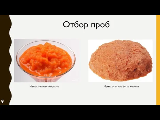 Отбор проб Измельченная морковь Измельченное филе лосося 9