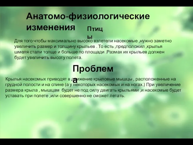 Анатомо-физиологические изменения Птицы Для того чтобы максимально высоко взлетели насекомые ,нужно заметно