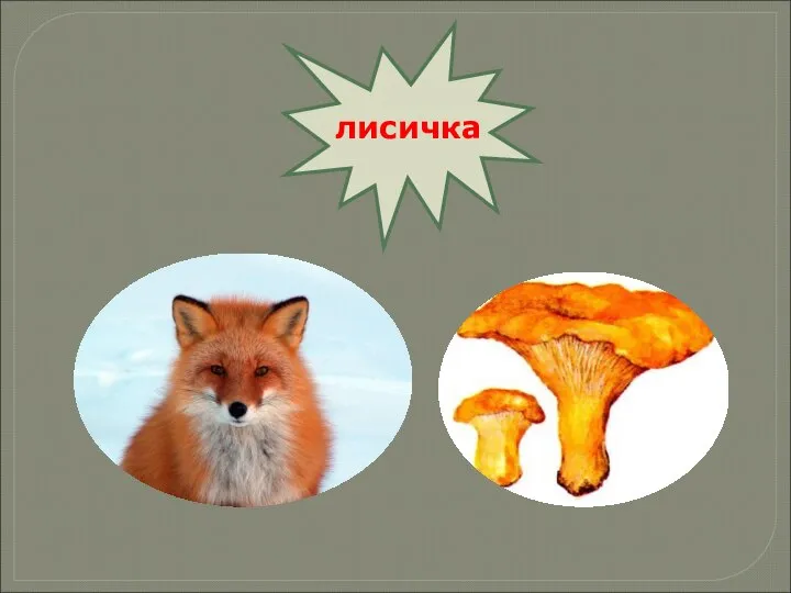 лисичка