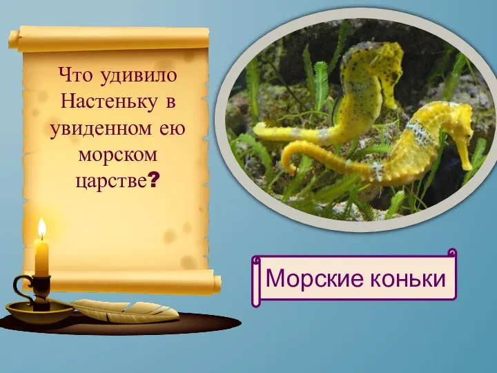 Что удивило Настеньку в увиденном ею морском царстве? Морские коньки