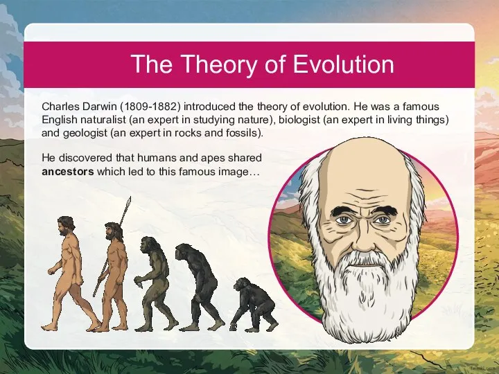 The Theory of Evolution Charles Darwin (1809-1882) introduced the theory of evolution.