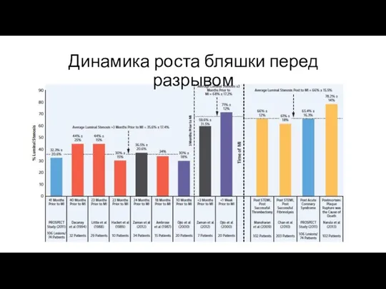 Динамика роста бляшки перед разрывом