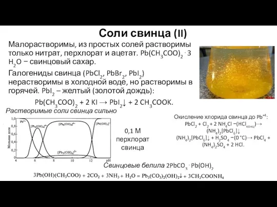 Соли свинца (II) Малорастворимы, из простых солей растворимы только нитрат, перхлорат и