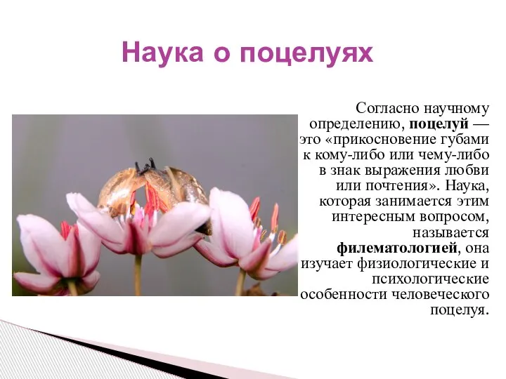 Согласно научному определению, поцелуй — это «прикосновение губами к кому-либо или чему-либо