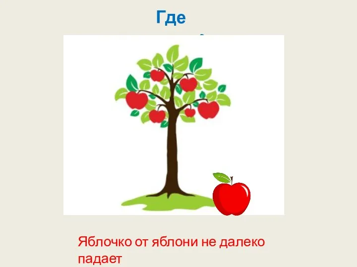 Яблочко от яблони не далеко падает Где логика?