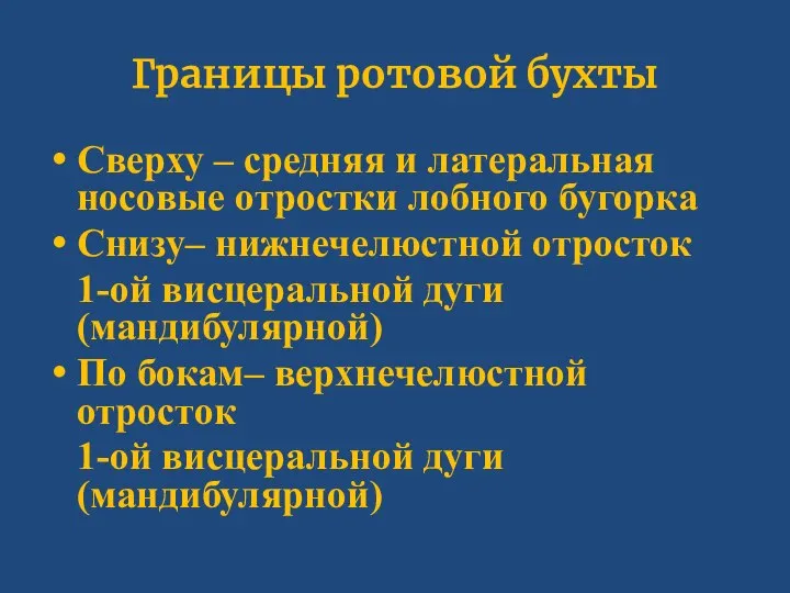 Границы ротовой бухты Сверху – средняя и латеральная носовые отростки лобного бугорка