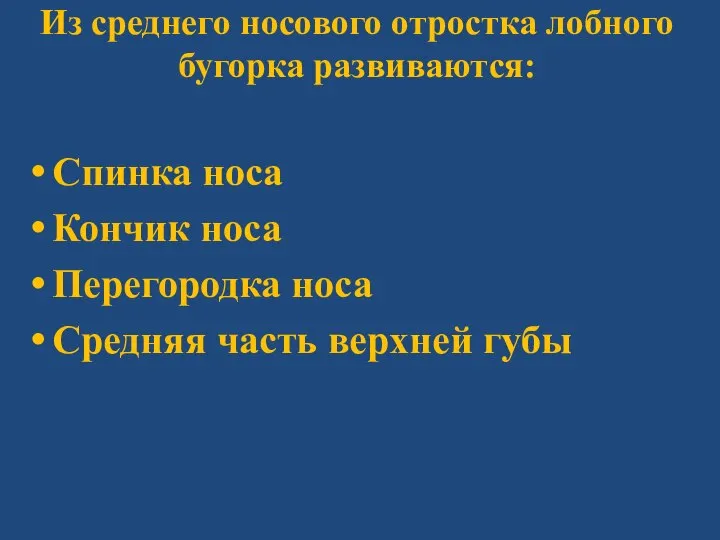 Из среднего носового отростка лобного бугорка развиваются: Спинка носа Кончик носа Перегородка