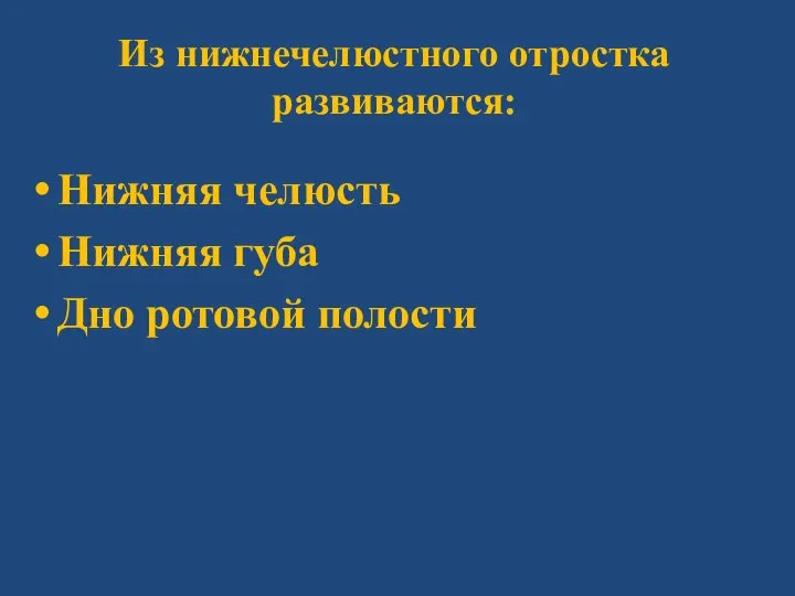 Из нижнечелюстного отростка развиваются: Нижняя челюсть Нижняя губа Дно ротовой полости