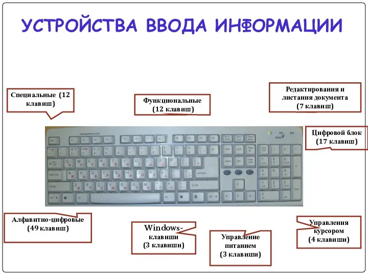 Функциональные (12 клавиш) Windows-клавиши (3 клавиши) Управления курсором (4 клавиши) Алфавитно-цифровые (49
