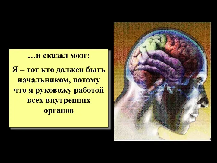 …и сказал мозг: Я – тот кто должен быть начальником, потому что