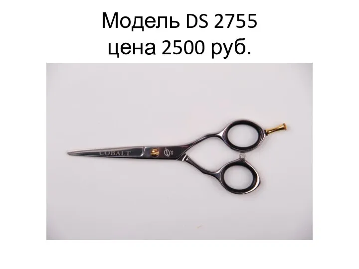 Модель DS 2755 цена 2500 руб.