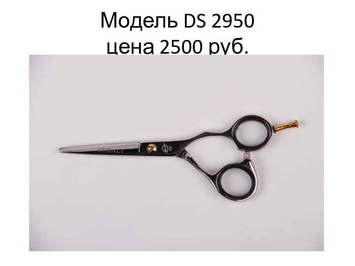 Модель DS 2950 цена 2500 руб.