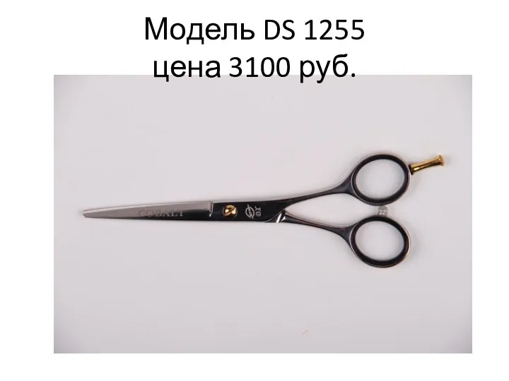 Модель DS 1255 цена 3100 руб.