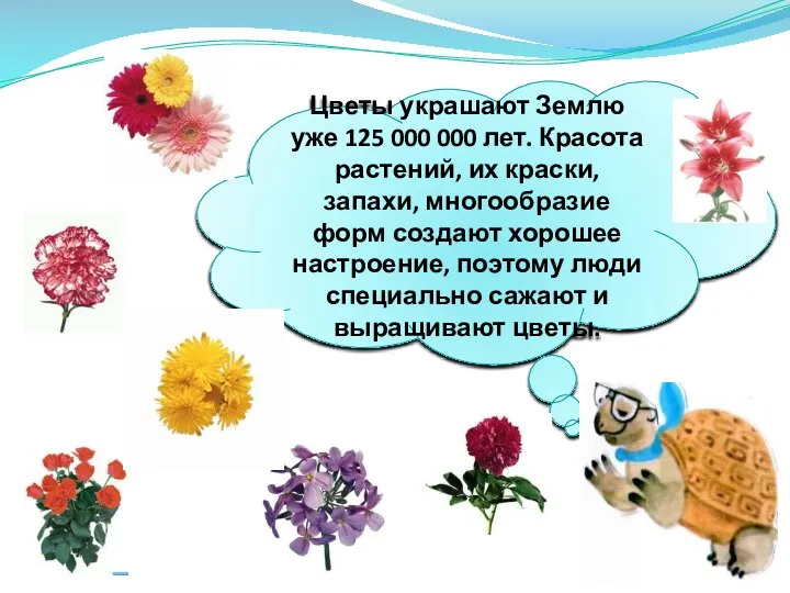Цветы украшают Землю уже 125 000 000 лет. Красота растений, их краски,