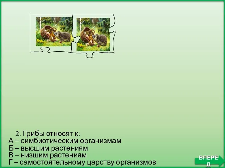 Б – высшим растениям 2. Грибы относят к: А – симбиотическим организмам