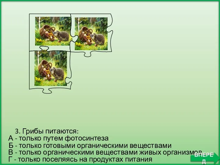 Б - только готовыми органическими веществами 3. Грибы питаются: А - только