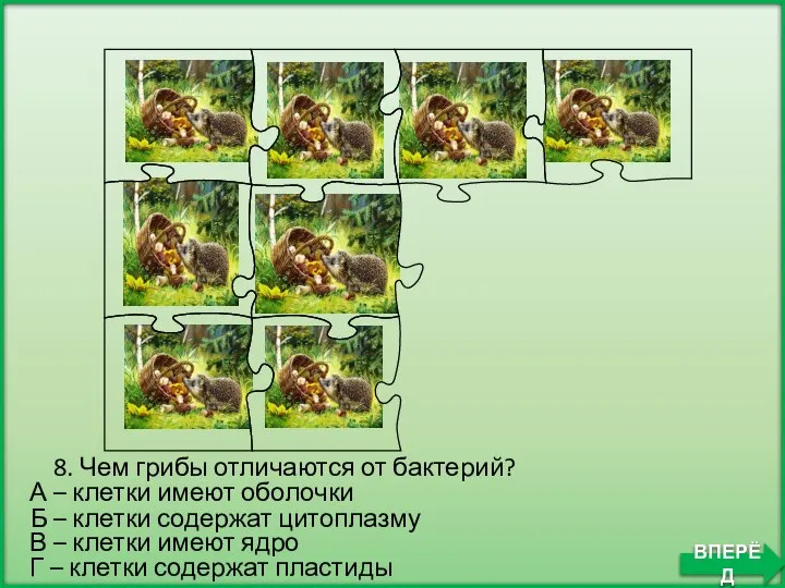 Б – клетки содержат цитоплазму 8. Чем грибы отличаются от бактерий? А