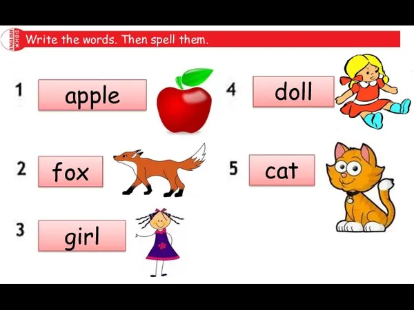 Write the words. Then spell them. apple fox girl doll cat