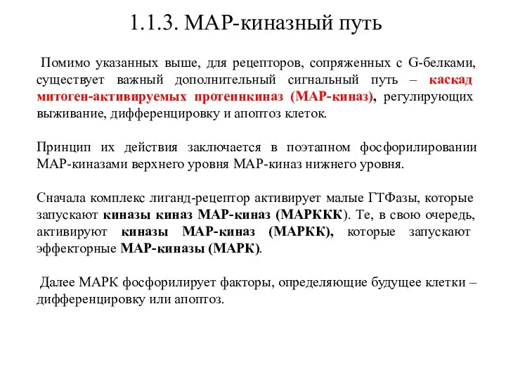 1.1.3. МАР-киназный путь Помимо указанных выше, для рецепторов, сопряженных с G-белками, существует