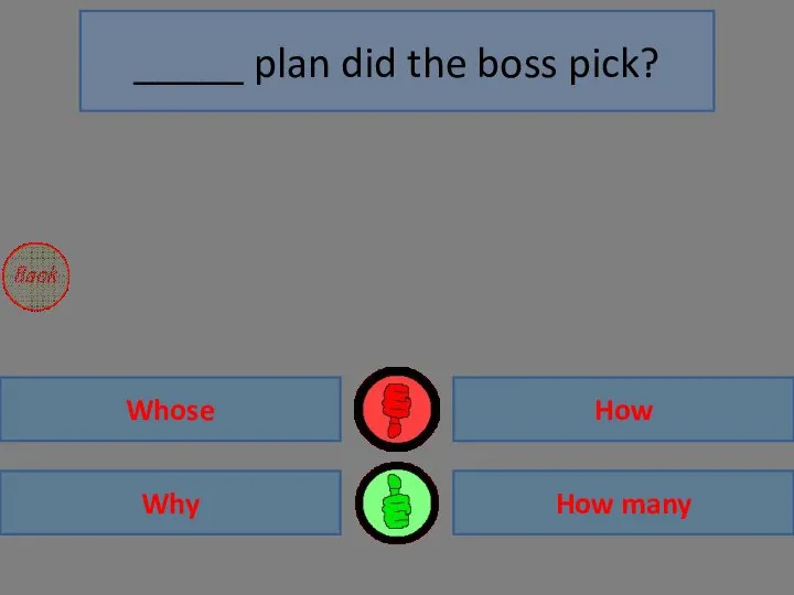 Why How many Whose How _____ plan did the boss pick?