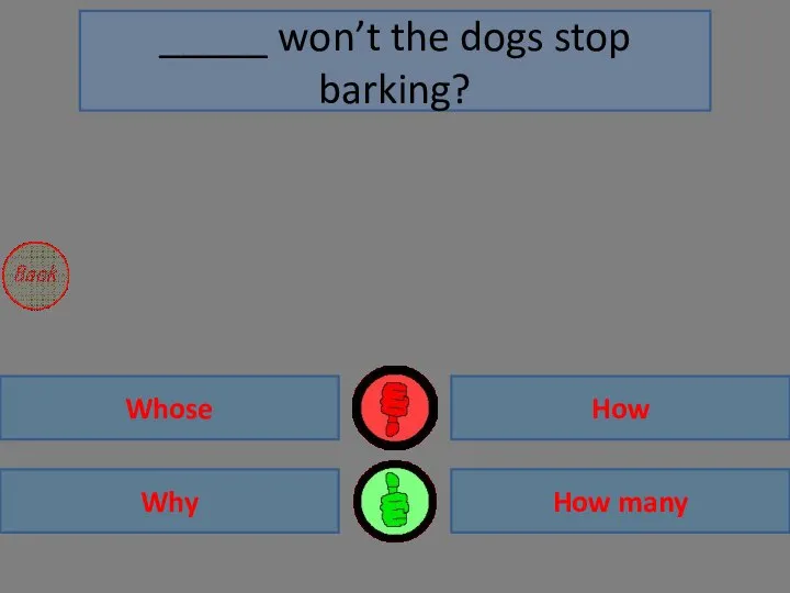 Why Whose How many How _____ won’t the dogs stop barking?
