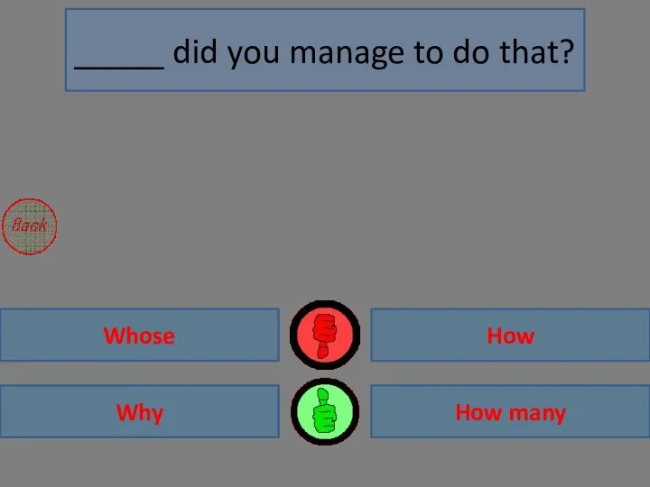 How Why How many Whose _____ did you manage to do that?