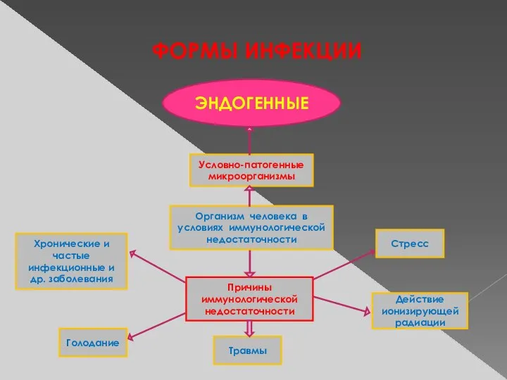 ФОРМЫ ИНФЕКЦИИ ЭНДОГЕННЫЕ Условно-патогенные микроорганизмы Причины иммунологической недостаточности Травмы Организм человека в