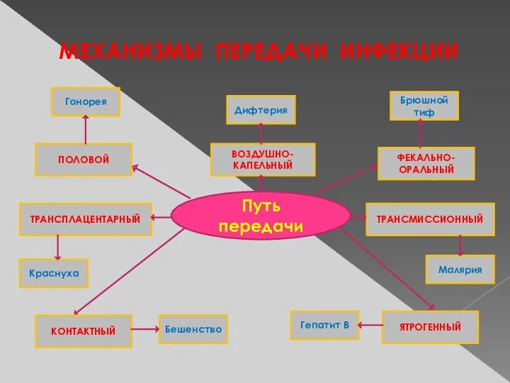 МЕХАНИЗМЫ ПЕРЕДАЧИ ИНФЕКЦИИ Путь передачи ВОЗДУШНО-КАПЕЛЬНЫЙ Гонорея Брюшной тиф Дифтерия ФЕКАЛЬНО-ОРАЛЬНЫЙ ТРАНСМИССИОННЫЙ