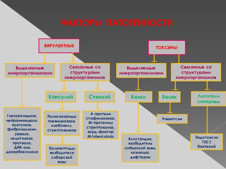 ФАКТОРЫ ПАТОГЕННОСТИ ВИРУЛЕНТНЫЕ Связанные со структурами микроорганизмов Выделяемые микроорганизмами Капсулой ТОКСИНЫ Клостридии,