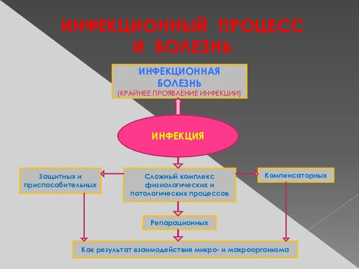 ИНФЕКЦИОННЫЙ ПРОЦЕСС И БОЛЕЗНЬ ИНФЕКЦИЯ ИНФЕКЦИОННАЯ БОЛЕЗНЬ (КРАЙНЕЕ ПРОЯВЛЕНИЕ ИНФЕКЦИИ) Сложный комплекс