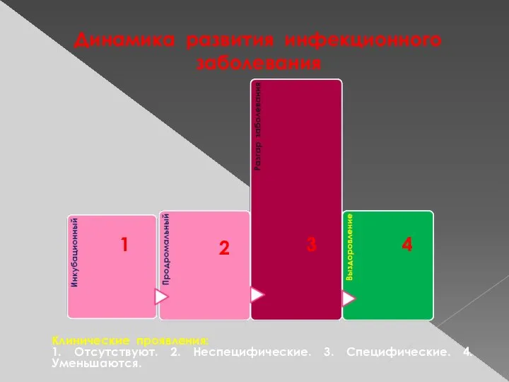 Динамика развития инфекционного заболевания Клинические проявления: 1. Отсутствуют. 2. Неспецифические. 3. Специфические.