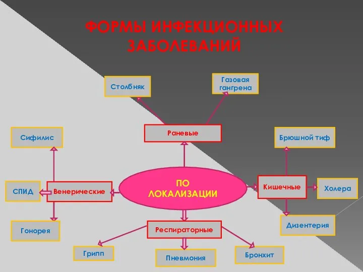 ФОРМЫ ИНФЕКЦИОННЫХ ЗАБОЛЕВАНИЙ ПО ЛОКАЛИЗАЦИИ Сифилис Брюшной тиф Грипп Кишечные Бронхит Столбняк