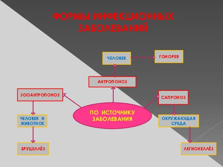 ФОРМЫ ИНФЕКЦИОННЫХ ЗАБОЛЕВАНИЙ ПО ИСТОЧНИКУ ЗАБОЛЕВАНИЯ БРУЦЕЛЛЁЗ САПРОНОЗ ГОНОРЕЯ АНТРОПОНОЗ ЗООАНТРОПОНОЗ ЧЕЛОВЕК