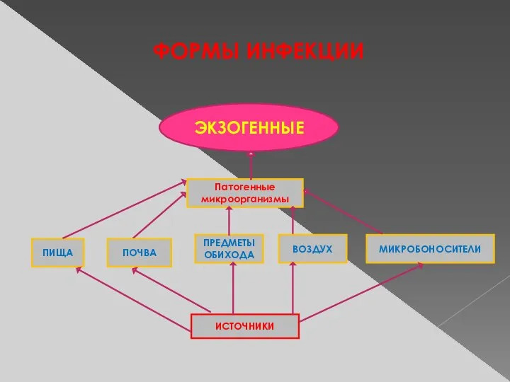 ФОРМЫ ИНФЕКЦИИ ЭКЗОГЕННЫЕ Патогенные микроорганизмы ИСТОЧНИКИ ПОЧВА ПРЕДМЕТЫ ОБИХОДА МИКРОБОНОСИТЕЛИ ПИЩА ВОЗДУХ