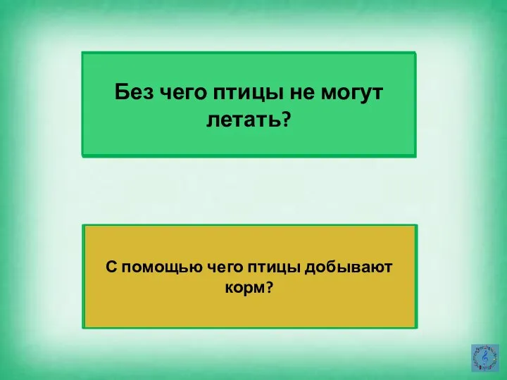 Без чего птицы не могут летать? С помощью чего птицы добывают корм?