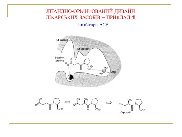 Інгібітори АСЕ ЛІГАНДНО-ОРІЄНТОВАНИЙ ДИЗАЙН ЛІКАРСЬКИХ ЗАСОБІВ – ПРИКЛАД 1