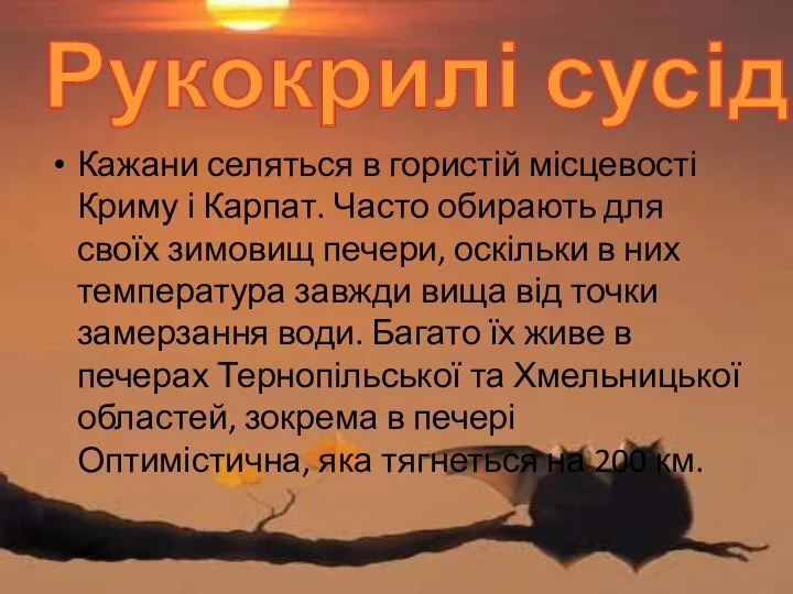 Кажани селяться в гористій місцевості Криму і Карпат. Часто обирають для своїх