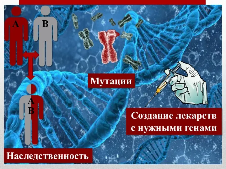 А В Наследственность Мутации Создание лекарств с нужными генами