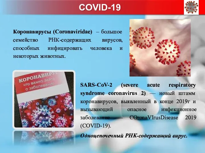 SARS-CoV-2 (severe acute respiratory syndrome coronavirus 2) — новый штамм коронавирусов, выявленный