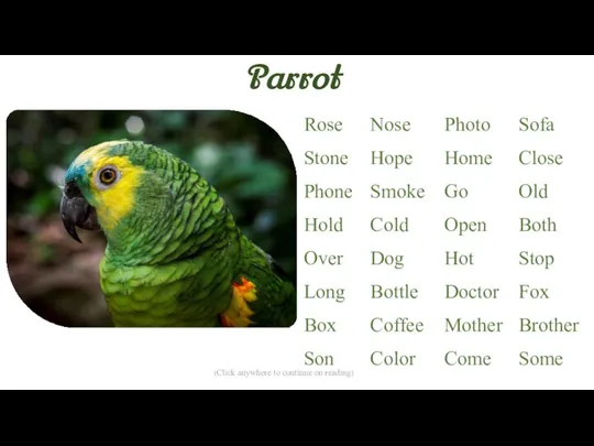 Parrot (Click anywhere to continue on reading)