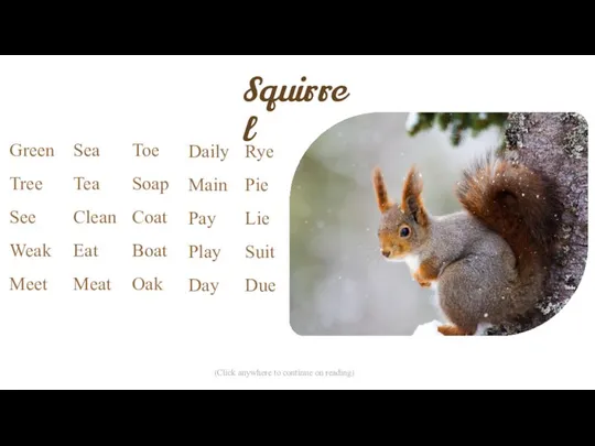 Squirrel (Click anywhere to continue on reading)