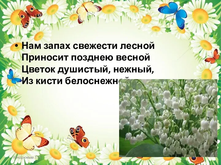 Кондрюкова Т.Н. Нам запах свежести лесной Приносит позднею весной Цветок душистый, нежный, Из кисти белоснежной.